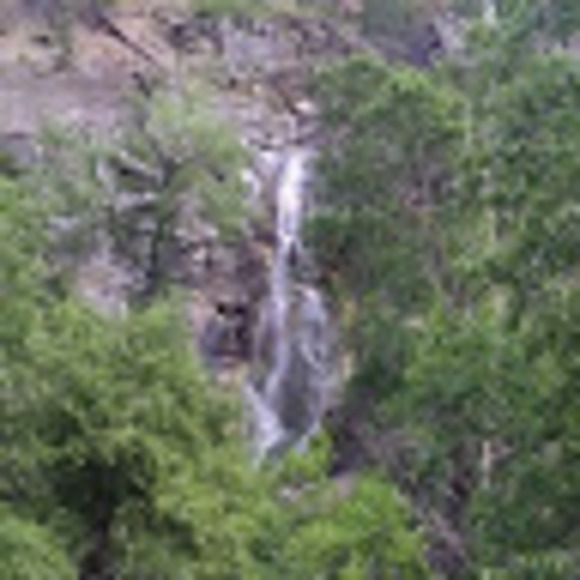 Meet your Posher, Chris - Picture 1 of 1